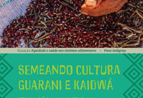 CECANE UFMS faz parceria para elaboração de livreto sobre cultura e transição alimentar indígena Guarani e Kaiowá